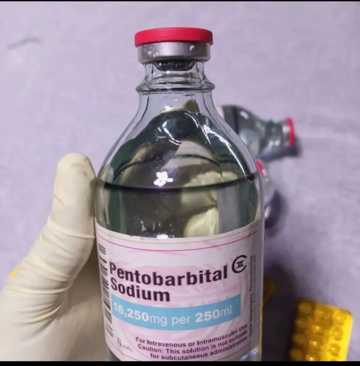 Sodium Pentobarbital